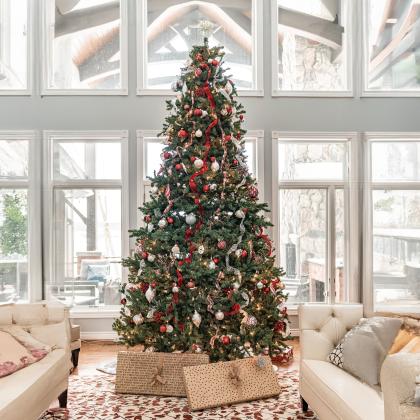 Protilizer for your Christmas Tree
