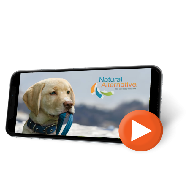 Phone with dog in snow