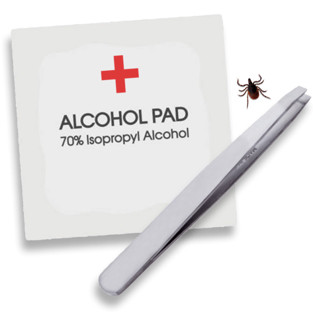 Alcohol swab, tweezers, and tick.